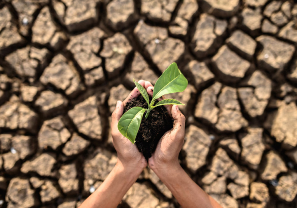 تاثیر-تغییرات-اقلیمی-بر-سلامت-و-نیاز-به-تجهیزات-پزشکی